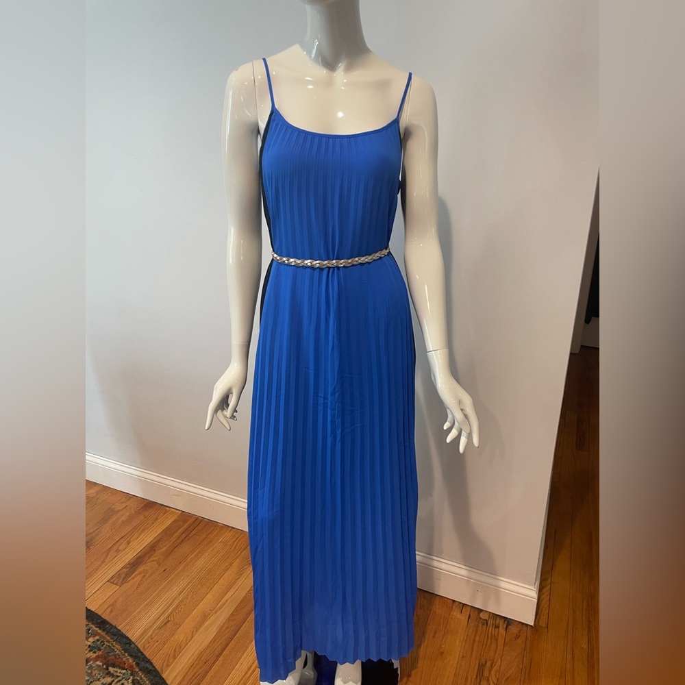 Banana Republic Pleated Gown Size 12
